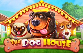 сайт Дранон мани